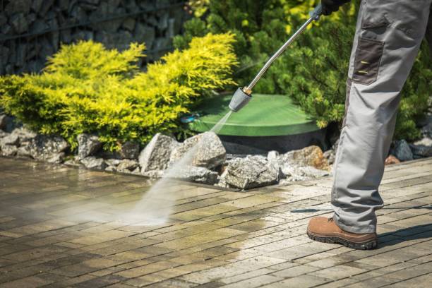 Best Solar Panel Cleaning  in Flushing, MI