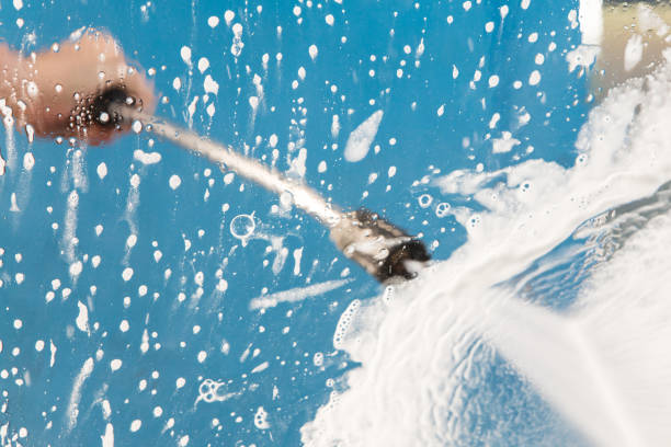 Best Animal Enclosure Cleaning  in Flushing, MI