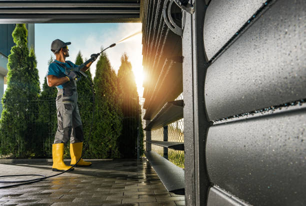 Best Gutter Cleaning  in Flushing, MI