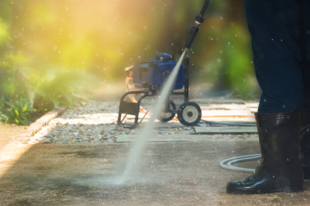 Best Soft Washing  in Flushing, MI